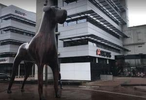 Arcadis-Assen.jpg