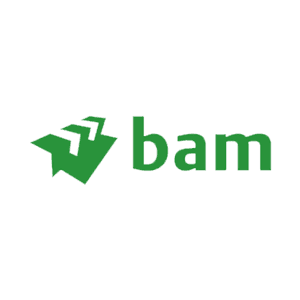 BAM.png