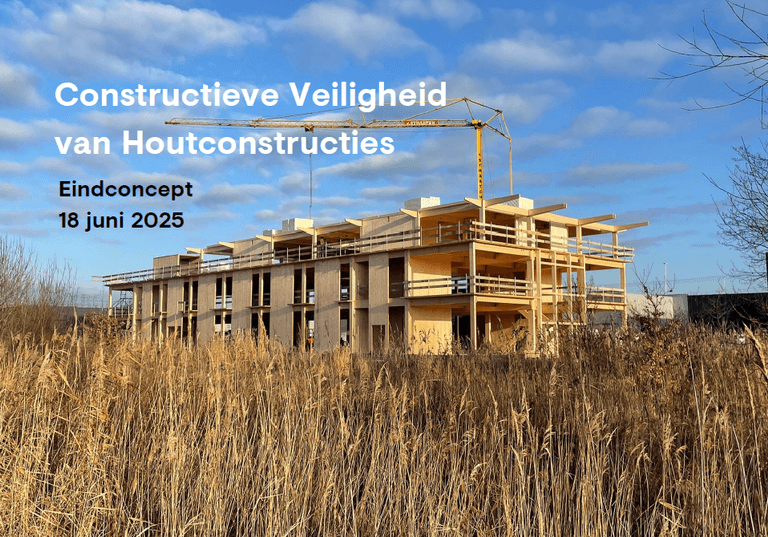 Constructieve Veiligheid van Houtconstructies